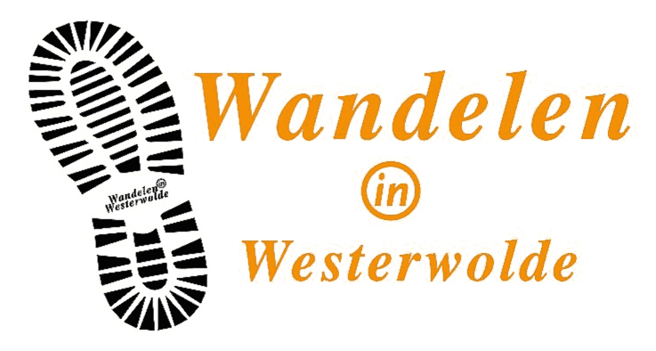 Wandelen